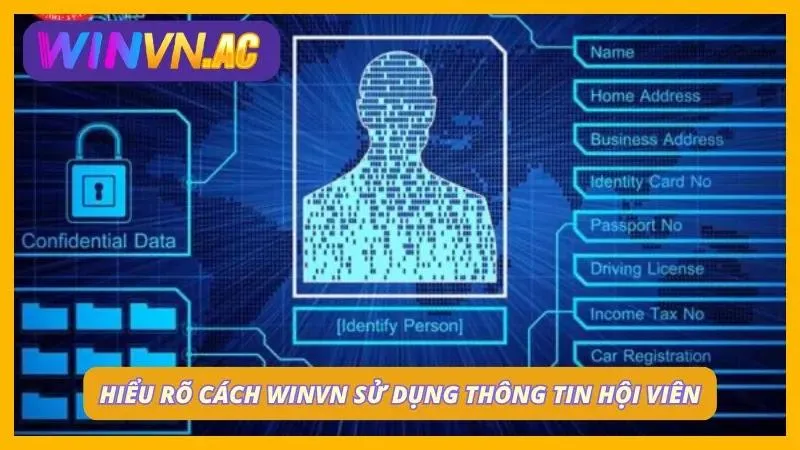 Dữ liệu người dùng được dùng để cải thiện trải nghiệm sử dụng