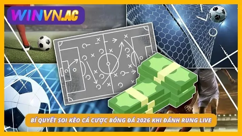 Bí kíp kèo rung cực dễ cùng nhà cái